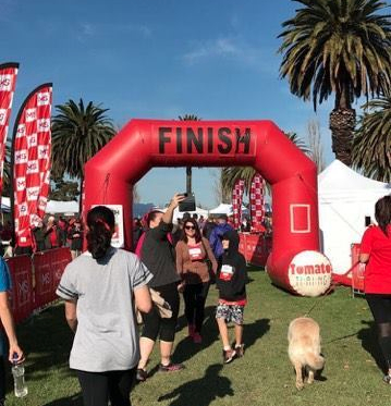 Walking the MS journey&nbsp;together