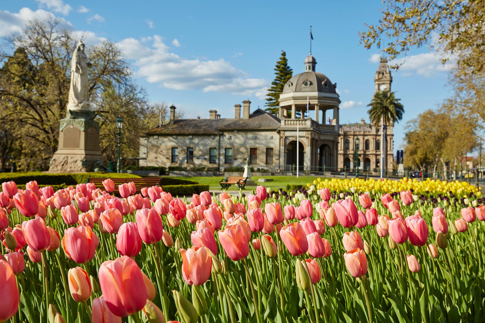 bendigo-tulips-regional-events-guide