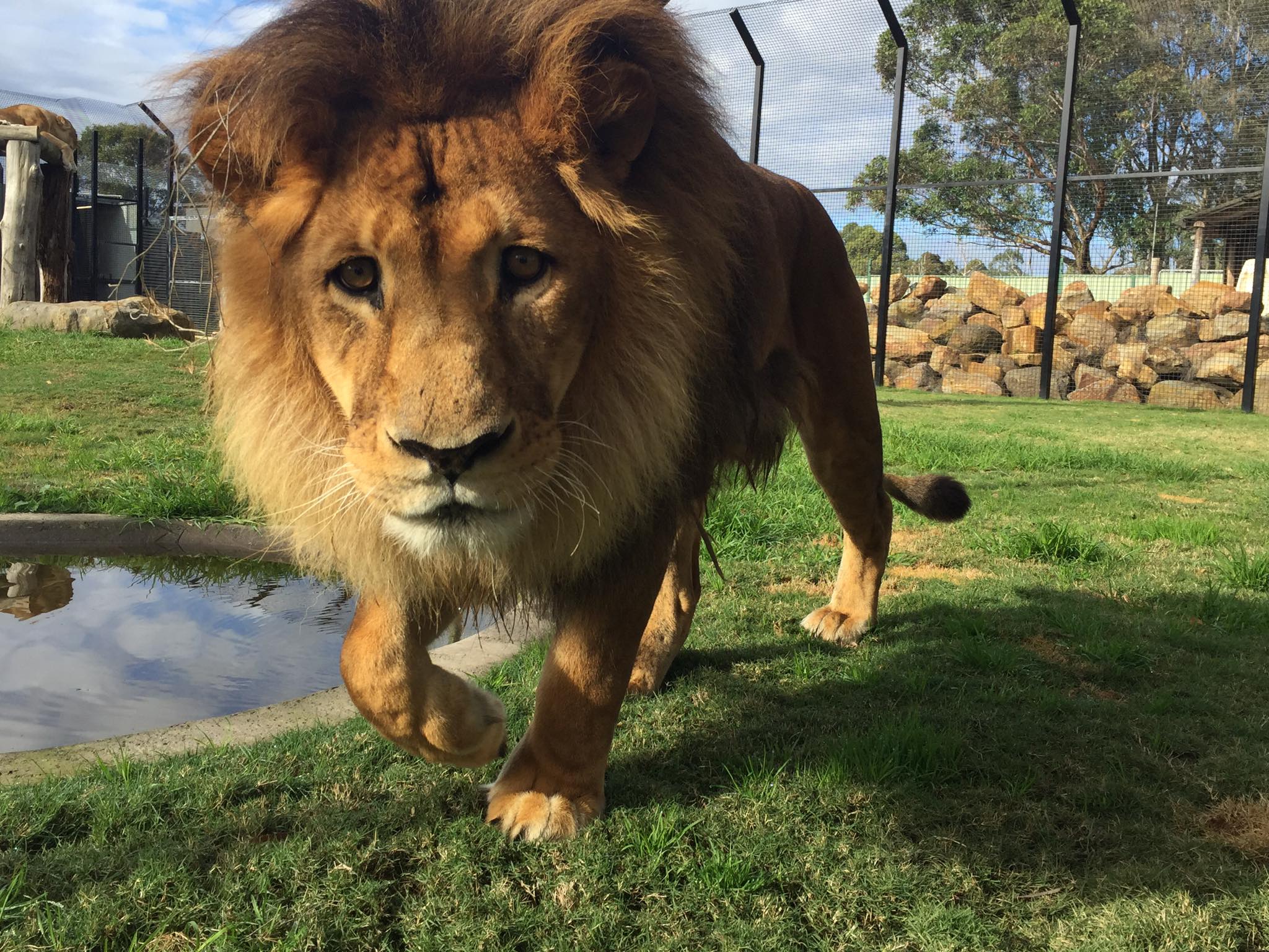 hunter-valley-snooze-regional-events-guide